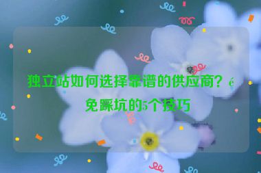 獨立站如何選擇靠譜的供應(yīng)商？避免踩坑的5個技巧