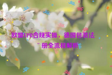 歐盟EPR合規(guī)實(shí)操，德國(guó)包裝法注冊(cè)全流程解析