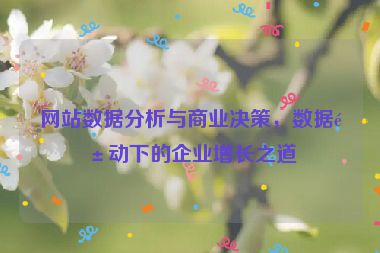 網(wǎng)站數(shù)據(jù)分析與商業(yè)決策，數(shù)據(jù)驅(qū)動下的企業(yè)增長之道