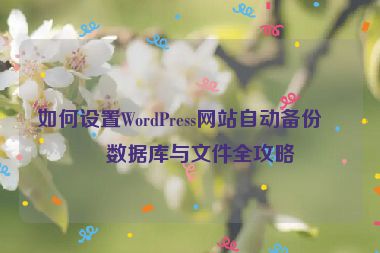 如何設(shè)置WordPress網(wǎng)站自動備份，數(shù)據(jù)庫與文件全攻略