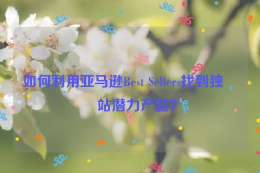 如何利用亞馬遜Best Sellers找到獨(dú)立站潛力產(chǎn)品？