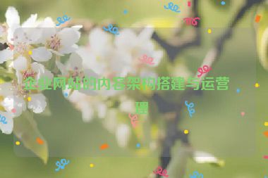 企業(yè)網(wǎng)站的內(nèi)容架構(gòu)搭建與運(yùn)營(yíng)管理