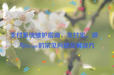 支付系統(tǒng)維護(hù)指南，支付寶、微信與Stripe的常見問題及解決方案