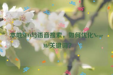 本地SEO與語音搜索，如何優(yōu)化Near Me關(guān)鍵詞？