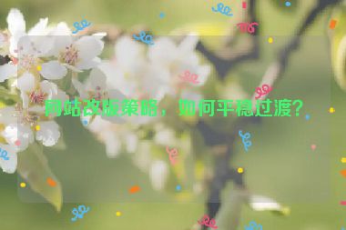網(wǎng)站改版策略，如何平穩(wěn)過(guò)渡？