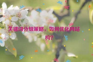 關(guān)鍵詞分組策略，如何優(yōu)化網(wǎng)站結(jié)構(gòu)？