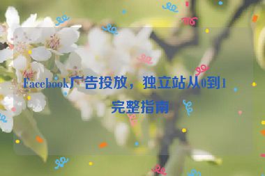 Facebook廣告投放，獨(dú)立站從0到1的完整指南