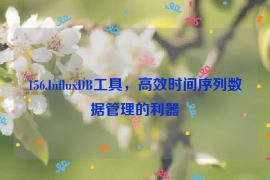 156.InfluxDB工具，高效時(shí)間序列數(shù)據(jù)管理的利器