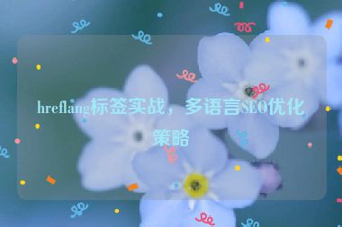 hreflang標簽實戰(zhàn)，多語言SEO優(yōu)化策略