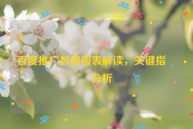 百度推廣數(shù)據(jù)報表解讀，關(guān)鍵指標(biāo)分析