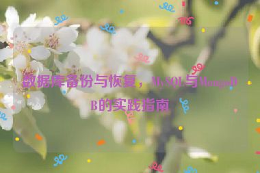 數(shù)據(jù)庫(kù)備份與恢復(fù)，MySQL與MongoDB的實(shí)踐指南