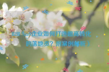 B2B SaaS企業(yè)如何打造超高轉(zhuǎn)化率的落地頁？附案例解析）