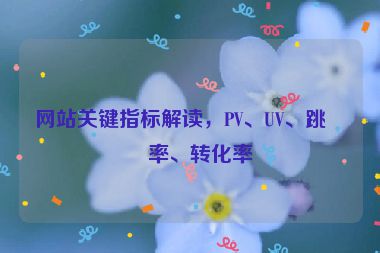 網(wǎng)站關(guān)鍵指標(biāo)解讀，PV、UV、跳出率、轉(zhuǎn)化率