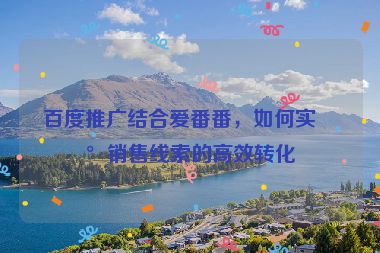 百度推廣結(jié)合愛番番，如何實現(xiàn)銷售線索的高效轉(zhuǎn)化