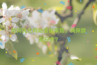 如何優(yōu)化網(wǎng)站備份策略，確保數(shù)據(jù)安全？