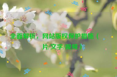 全面解析，網(wǎng)站版權(quán)保護(hù)措施（圖片/文字/視頻）