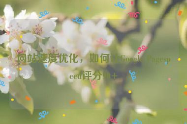 網(wǎng)站速度優(yōu)化，如何讓Google Pagespeed評(píng)分90+