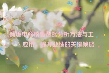 跨境電商銷售數(shù)據(jù)分析方法與工具應(yīng)用，提升業(yè)績的關(guān)鍵策略