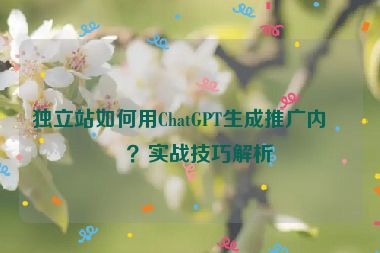 獨(dú)立站如何用ChatGPT生成推廣內(nèi)容？實(shí)戰(zhàn)技巧解析