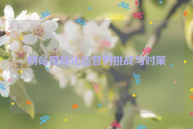 網(wǎng)站國際化運(yùn)營的挑戰(zhàn)與對策