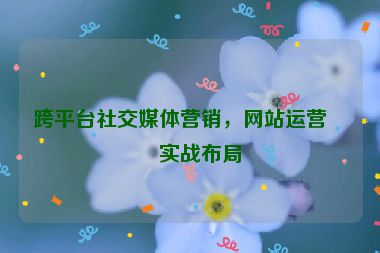 跨平臺社交媒體營銷，網(wǎng)站運(yùn)營的實(shí)戰(zhàn)布局