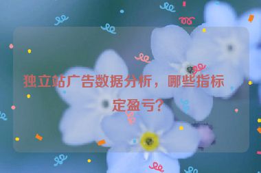 獨(dú)立站廣告數(shù)據(jù)分析，哪些指標(biāo)決定盈虧？