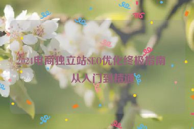 2024電商獨(dú)立站SEO優(yōu)化終極指南，從入門到精通