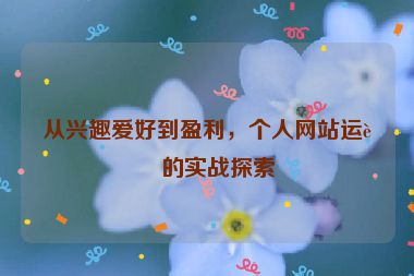從興趣愛(ài)好到盈利，個(gè)人網(wǎng)站運(yùn)營(yíng)的實(shí)戰(zhàn)探索