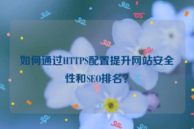 如何通過HTTPS配置提升網(wǎng)站安全性和SEO排名？