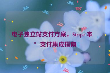 電子獨(dú)立站支付方案，Stripe 本地支付集成指南