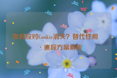 如何應(yīng)對(duì)Cookie消失？替代性用戶追蹤方案解析