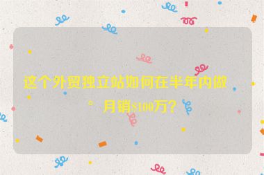 這個外貿(mào)獨立站如何在半年內(nèi)做到月銷$100萬？