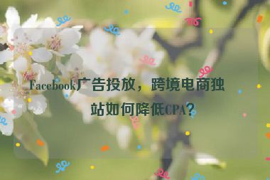 Facebook廣告投放，跨境電商獨立站如何降低CPA？