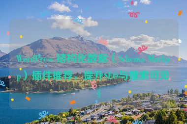WordPress 結(jié)構(gòu)化數(shù)據(jù)（Schema Markup）插件推薦，提升SEO與搜索可見(jiàn)性