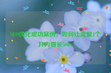 SEO優(yōu)化成功案例，如何讓流量3個月內(nèi)增長500%