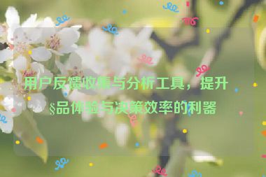 用戶反饋收集與分析工具，提升產(chǎn)品體驗與決策效率的利器