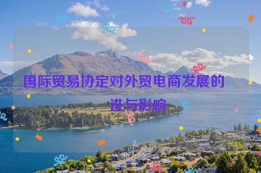 國(guó)際貿(mào)易協(xié)定對(duì)外貿(mào)電商發(fā)展的促進(jìn)與影響