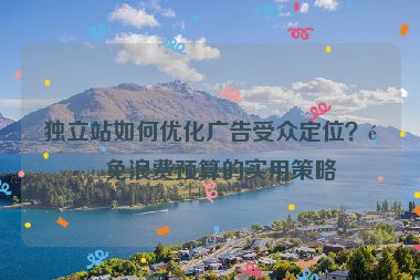 獨(dú)立站如何優(yōu)化廣告受眾定位？避免浪費(fèi)預(yù)算的實(shí)用策略