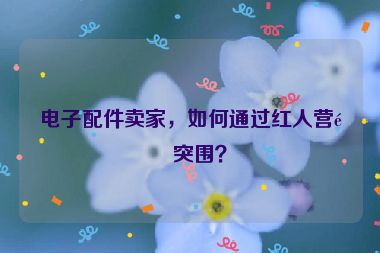 電子配件賣家，如何通過紅人營銷突圍？
