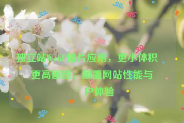 獨(dú)立站W(wǎng)ebP圖片應(yīng)用，更小體積，更高畫質(zhì)，顛覆網(wǎng)站性能與用戶體驗(yàn)