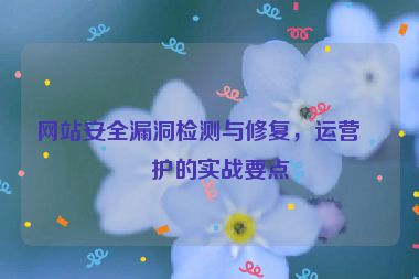 網(wǎng)站安全漏洞檢測與修復(fù)，運營維護的實戰(zhàn)要點