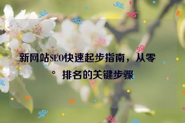 新網(wǎng)站SEO快速起步指南，從零到排名的關(guān)鍵步驟
