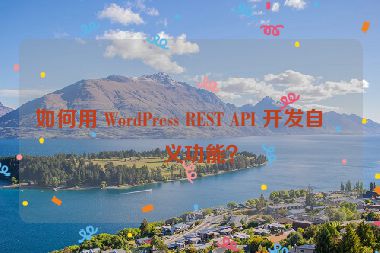 如何用 WordPress REST API 開發(fā)自定義功能？