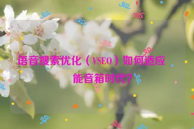 語音搜索優(yōu)化（VSEO）如何適應(yīng)智能音箱時(shí)代？