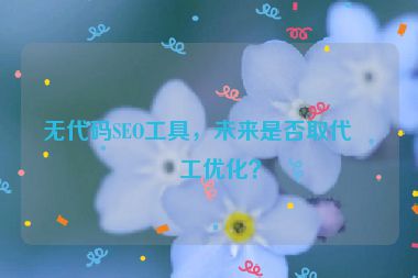 無(wú)代碼SEO工具，未來(lái)是否取代人工優(yōu)化？