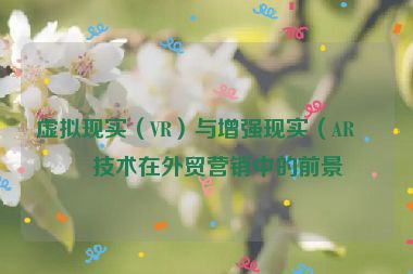 虛擬現(xiàn)實（VR）與增強現(xiàn)實（AR）技術(shù)在外貿(mào)營銷中的前景