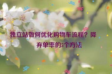 獨立站如何優(yōu)化購物車流程？降低棄單率的5個方法