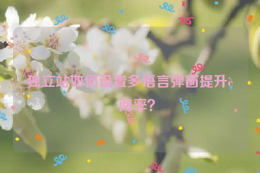 獨(dú)立站如何設(shè)置多語言彈窗提升訂閱率？