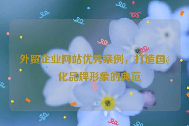 外貿(mào)企業(yè)網(wǎng)站優(yōu)秀案例，打造國際化品牌形象的典范