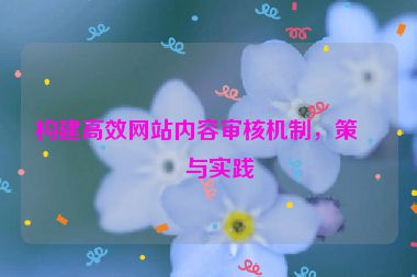 構(gòu)建高效網(wǎng)站內(nèi)容審核機(jī)制，策略與實踐